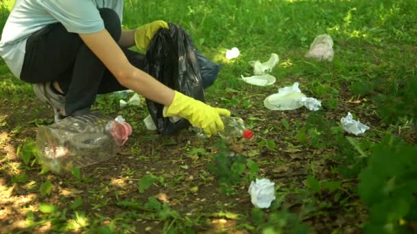 Volunteer scavenge plastic garbage in the summer park. Ecology concept — Stock Video