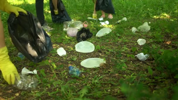 Freiwillige sammeln Plastikmüll im Sommerpark ein. ökologisches Konzept — Stockvideo