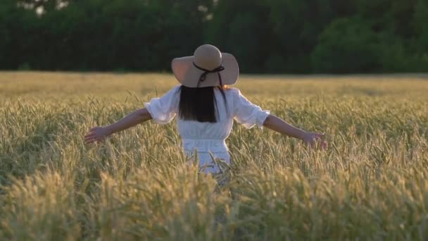 Een jong meisje wandelen in slow motion door middel van een tarwe veld. — Stockvideo