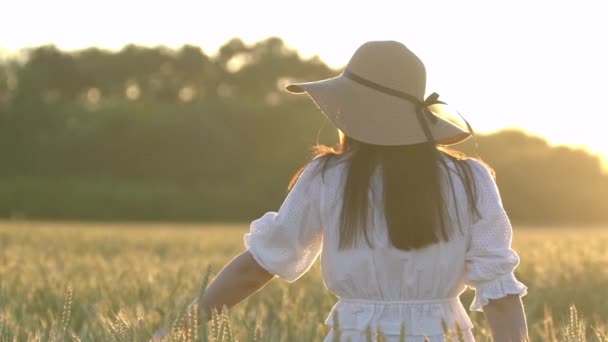 Una joven caminando en cámara lenta a través de un campo de trigo . — Vídeo de stock