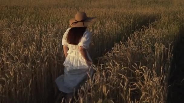一个年轻女孩在麦田里缓慢地行走 — 图库视频影像