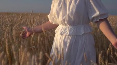 Bir buğday tarlasında yavaş hareketle yürüyen genç bir kız