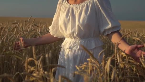 Mladá dívka, která prochází pomalým pohybem pšeničné polní — Stock video