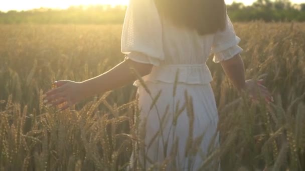 Bir buğday tarlasında yavaş hareketle yürüyen genç bir kız — Stok video