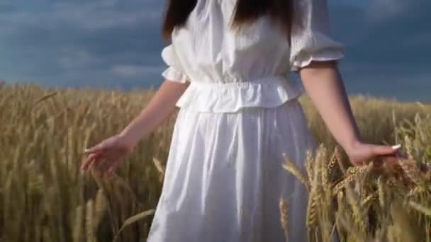 Ένα νεαρό κορίτσι που περπατάει μέσα από ένα χωράφι σιταριού. — Αρχείο Βίντεο