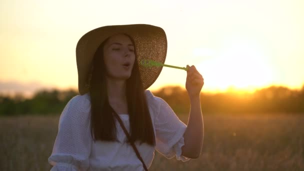 Frau pustet Seifenblasen auf Feld — Stockvideo