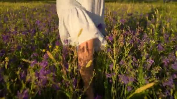 Giovane donna che cammina nei fiori del campo — Video Stock