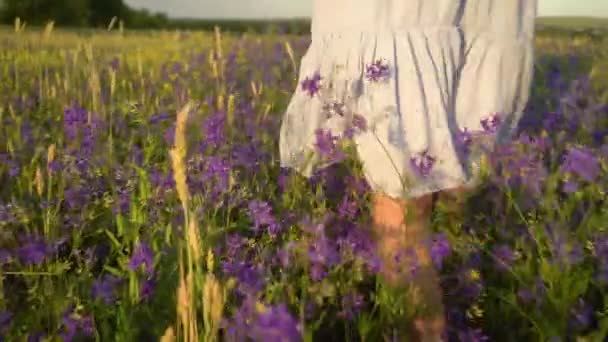 Jeune femme marchant dans les fleurs de champ — Video