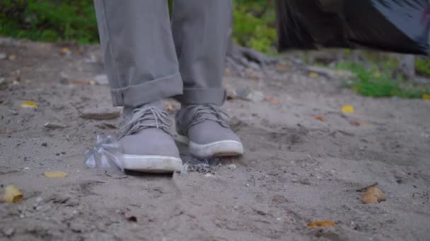 Voluntarios con bolsas de basura limpiando el bosque — Vídeo de stock