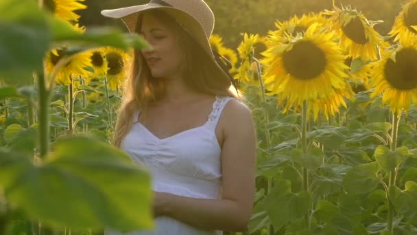 Mujer embarazada en el campo de girasoles — Vídeo de stock