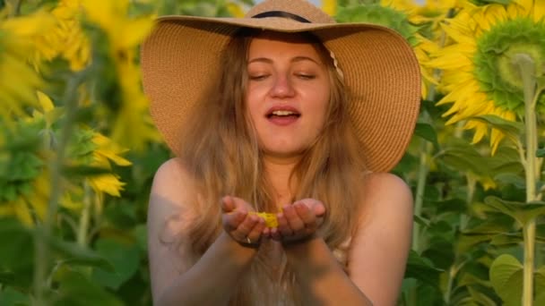 Mujer embarazada en el campo de girasoles — Vídeo de stock