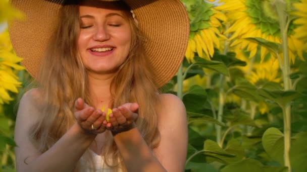 Schwangere im Sonnenblumenfeld — Stockvideo