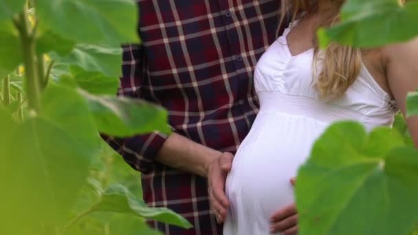 Man och gravid kvinna i ett solrosor fält — Stockvideo