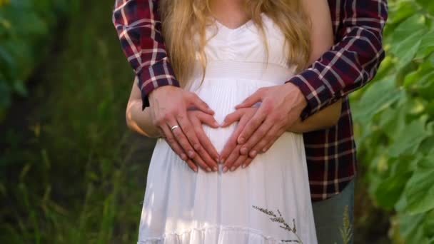 Man en zwangere vrouw maken hart op buik in een zonnebloemen veld — Stockvideo
