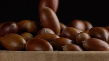 Meşe palamutlarının siyah zeminüzerine yakın çekim düşüşü
