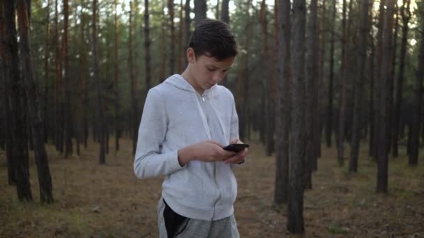 Мальчик пишет смс на смартфоне, стоя в сосновом лесу — стоковое видео