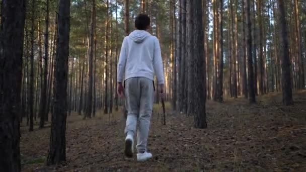 Genç bir çocuk çam ağacı ormanında yürüyor. — Stok video