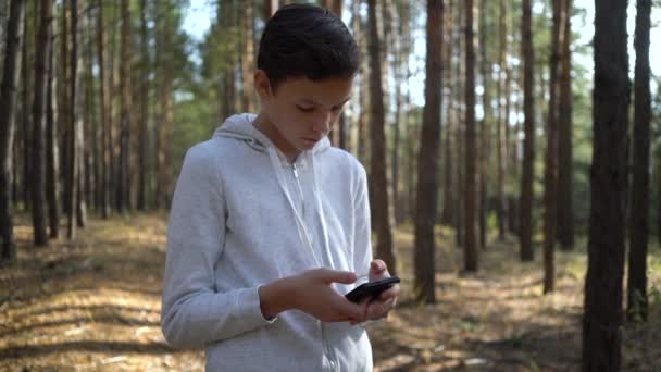 Ung pojke messar på smartphone stående på tallskog — Stockvideo