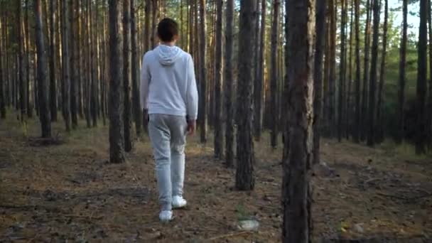 Młody nastolatek chłopiec chodzenie w sosna las — Wideo stockowe