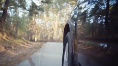 Autumn Country Road 'da araba sürüyor. düşük açılı çekim
