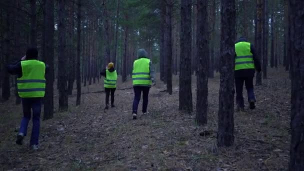 Yeşil yelekli bir grup gönüllü bir çam ormanında kayıp kişileri aramaya gitti. — Stok video