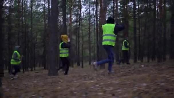 Grupp frivilliga i gröna västar gick på jakt efter saknade personer i en tallskog — Stockvideo