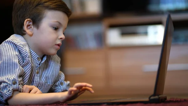 Bebé niño en camisa azul viendo en el ordenador portátil —  Fotos de Stock