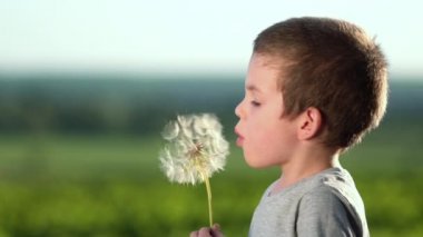 Çocuk gün batımında büyük bir karahindiba üflüyor..