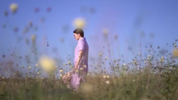 Девушка в фиолетовом платье ходит по полю с полевыми цветами . — стоковое видео