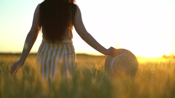 Mulher bonita com um chapéu em suas mãos caminha no campo verde. Mulher romântica caminha no campo no dia de verão — Vídeo de Stock