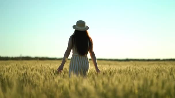 Vrouw wandelen in een veld met open armen — Stockvideo