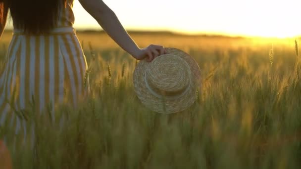 Primer plano de una mujer caminando en un campo de trigo mientras sostiene un sombrero de paja — Vídeo de stock