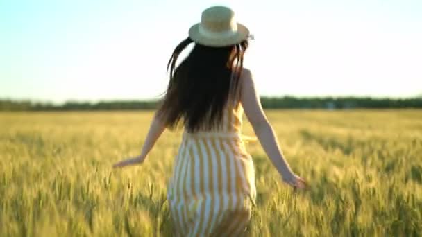 Chica de belleza con el pelo largo en vestido corriendo en el campo de trigo en verano puesta de sol. Concepto de libertad — Vídeo de stock