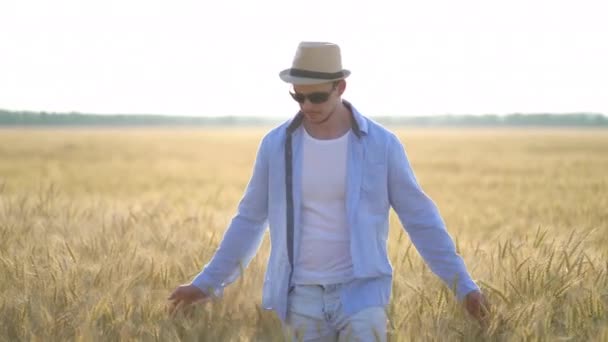 Hombre agricultor en un sombrero caminando en el campo de trigo — Vídeo de stock