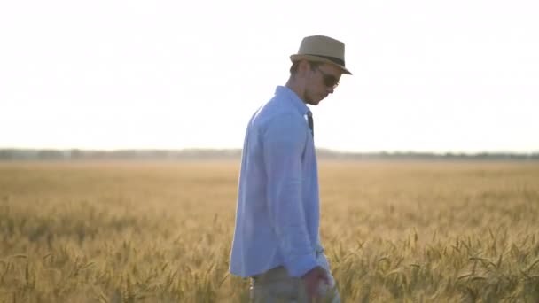 Hombre agricultor en un sombrero caminando en el campo de trigo — Vídeos de Stock