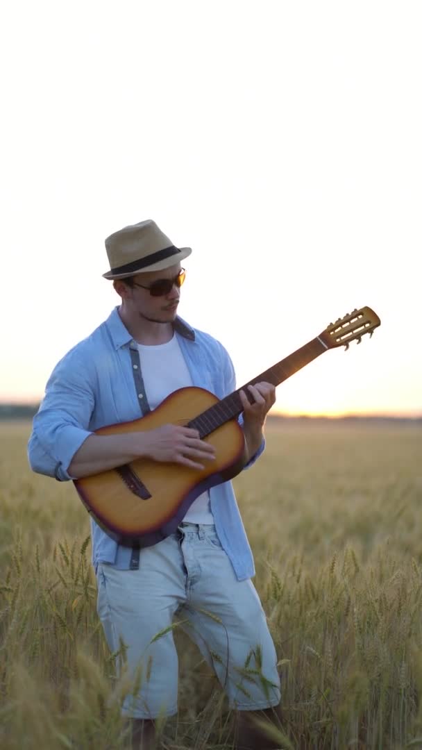 수직 영상입니다. 밀밭에서 음향 기타를 밖에서 연주하는 모습 — 비디오