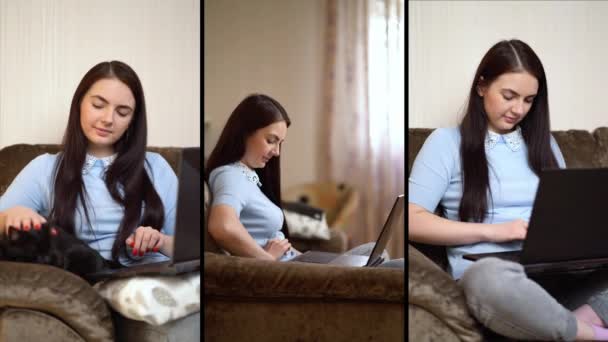 Collage mujer trabajando en ordenador portátil en casa — Vídeos de Stock