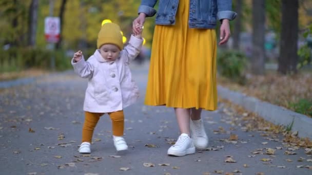 Pretty Child Córka spacery z mamą w parku — Wideo stockowe