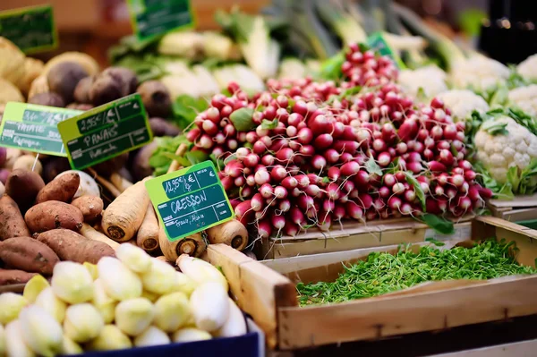 法国斯特拉斯堡农民市场上的新鲜生物蔬菜和草药 典型的欧洲当地农夫市场 — 图库照片