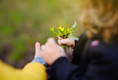 Little boy gives a small bouquet of yellow wild flowers to a girl. Preschooler children holding hands. Best friends. Kids relationship clipart