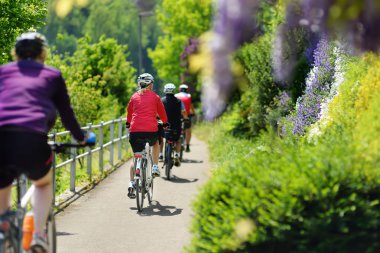 Sıcak yaz günü güneşli parkta bisiklet sportif orta yaş erkek. Aktif insanlar için güzel bir spor. Sağlıklı bir yaşam tarzı. İsviçre, Europe