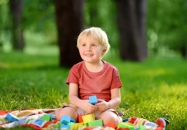 Lindo Niño Preescolar Jugando Con Cubos Colores Hierba Parque Verano —  Fotos de Stock