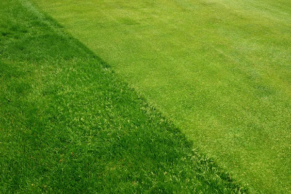 Vista Dall Alto Del Campo Golf Perfetto — Foto Stock