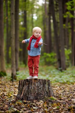 Küçük çocuk, bahar, yaz ve sonbahar günü ormanda yürüyüş sırasında ahşap güdük üzerinde. Doğa üzerinde etkin aile zamanı. Küçük çocuklarla hiking