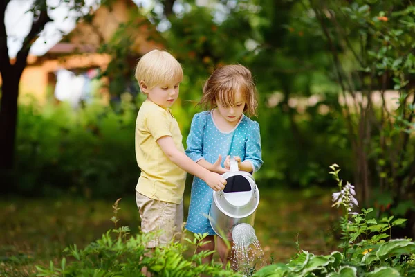 Cute Little Boy Girl Watering Plants Garden Summer Sunny Day — Stock Photo, Image