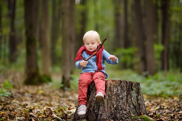 Kleine Jongen Zitten Houten Stomp Tijdens Wandeling Het Bos Bij — Stockfoto