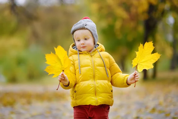 Niño Pequeño Caminando Parque Ciudad Día Otoño Niño Pequeño Disfrutar — Foto de Stock