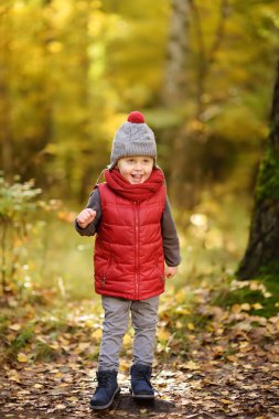 Küçük çocuk, güneşli sonbahar günü ormanda yürüyüş sırasında. Doğa üzerinde etkin aile zamanı. Küçük çocuklarla hiking