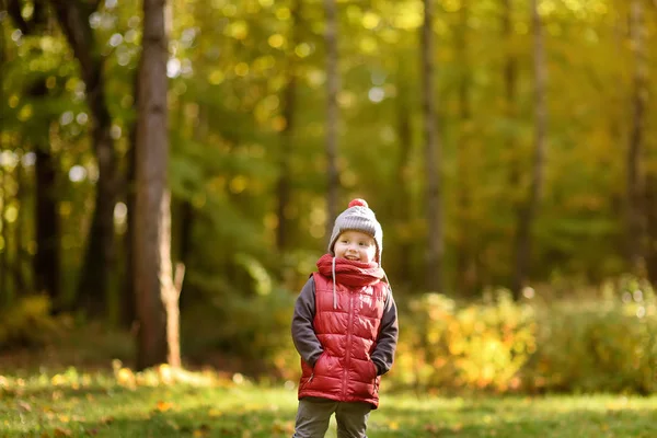 Malý Chlapec Během Procházky Lese Slunečný Podzimní Den Aktivní Čas — Stock fotografie