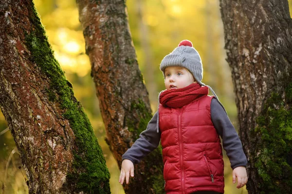 Liten Pojke Promenad Skogen Solig Höstdag Aktiv Familj Tid Naturen — Stockfoto